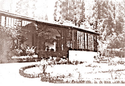 OotyWoodlands.jpg (40393 bytes)